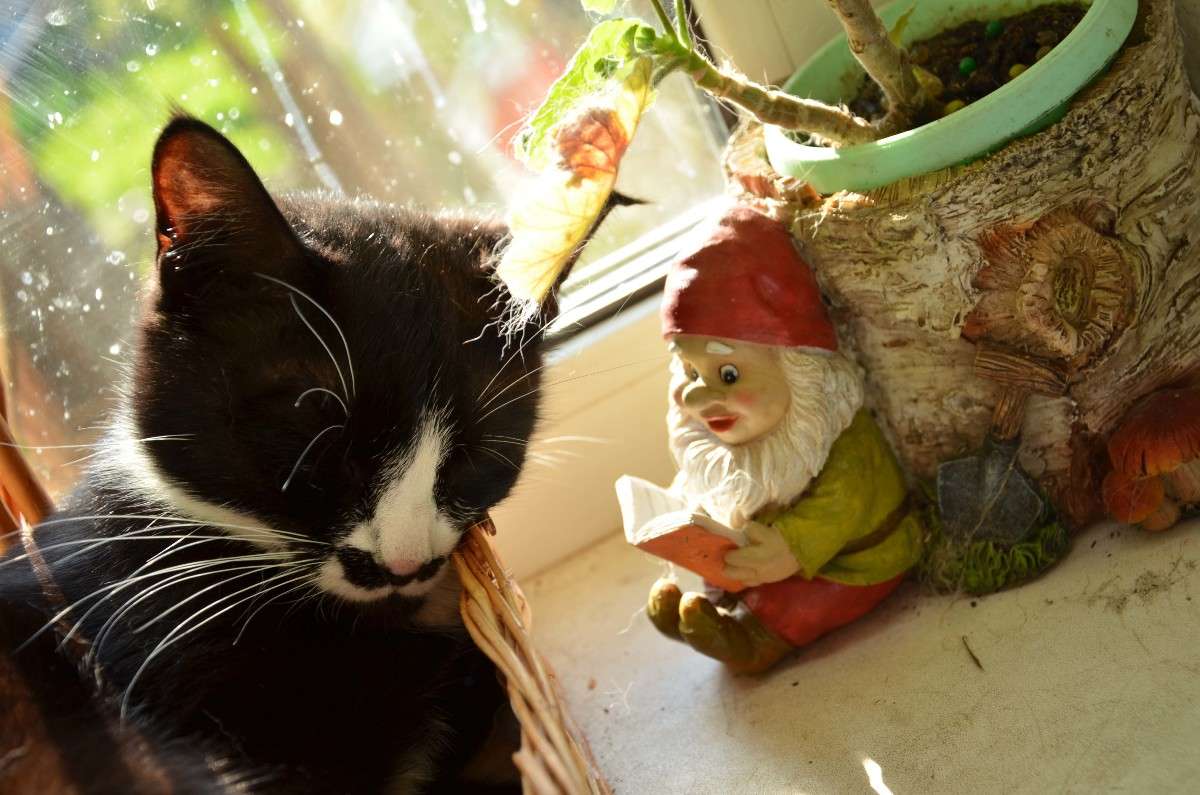 ������ ����� ������ ������� �� PhotoGeek.ru #�������� ���