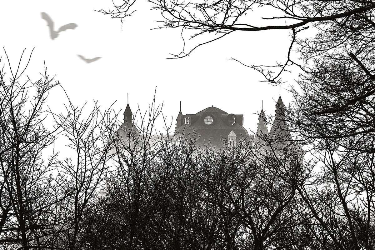 �������� ���� ����� ��������  �� PhotoGeek.ru #������ ��� �������