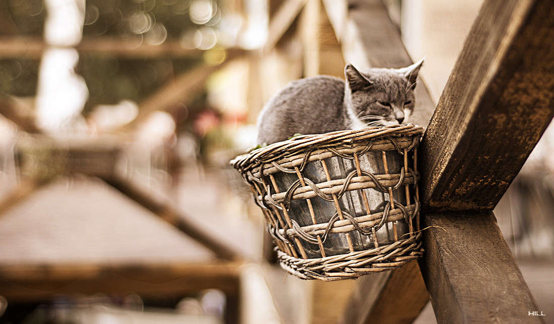 ... ����� ������� ���� �� PhotoGeek.ru #�������� ���