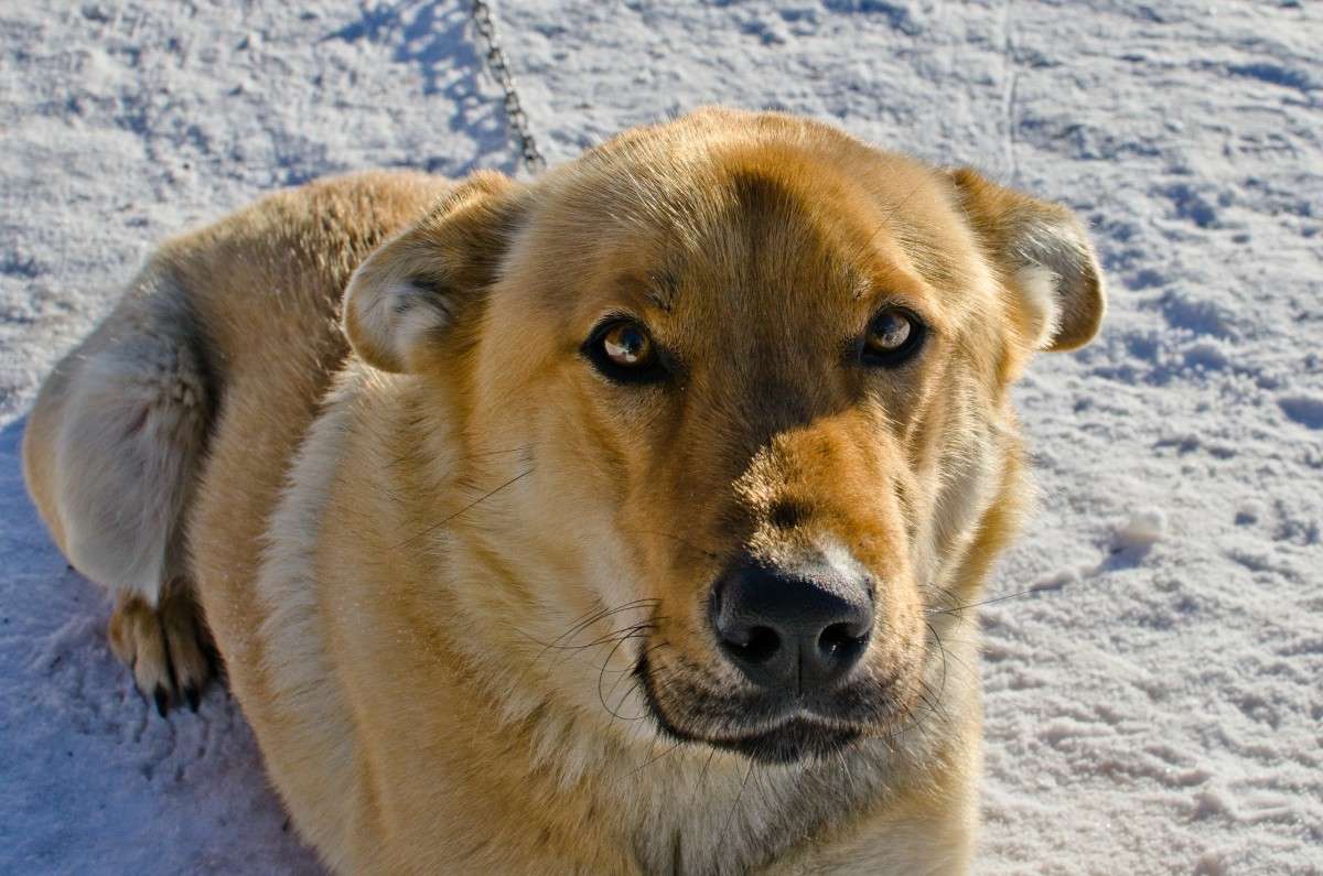 ���� ����� ���� ������  �� PhotoGeek.ru #�������� ���