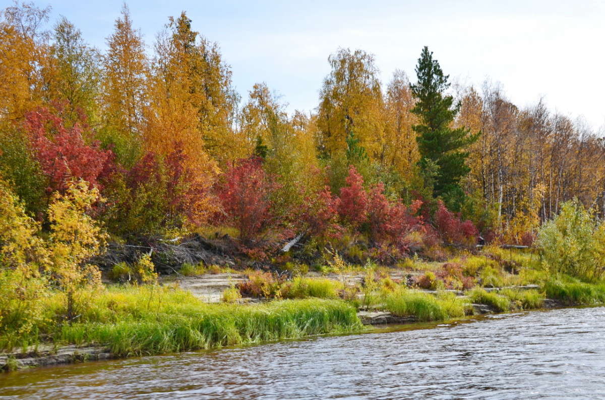 ... ����� ��������� �������� �� PhotoGeek.ru