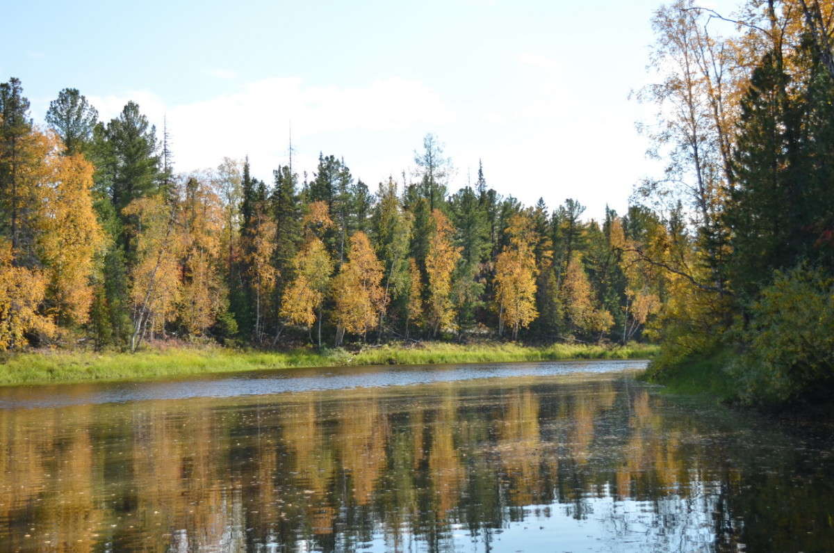 ... ����� ��������� �������� �� PhotoGeek.ru #������ ��� �������