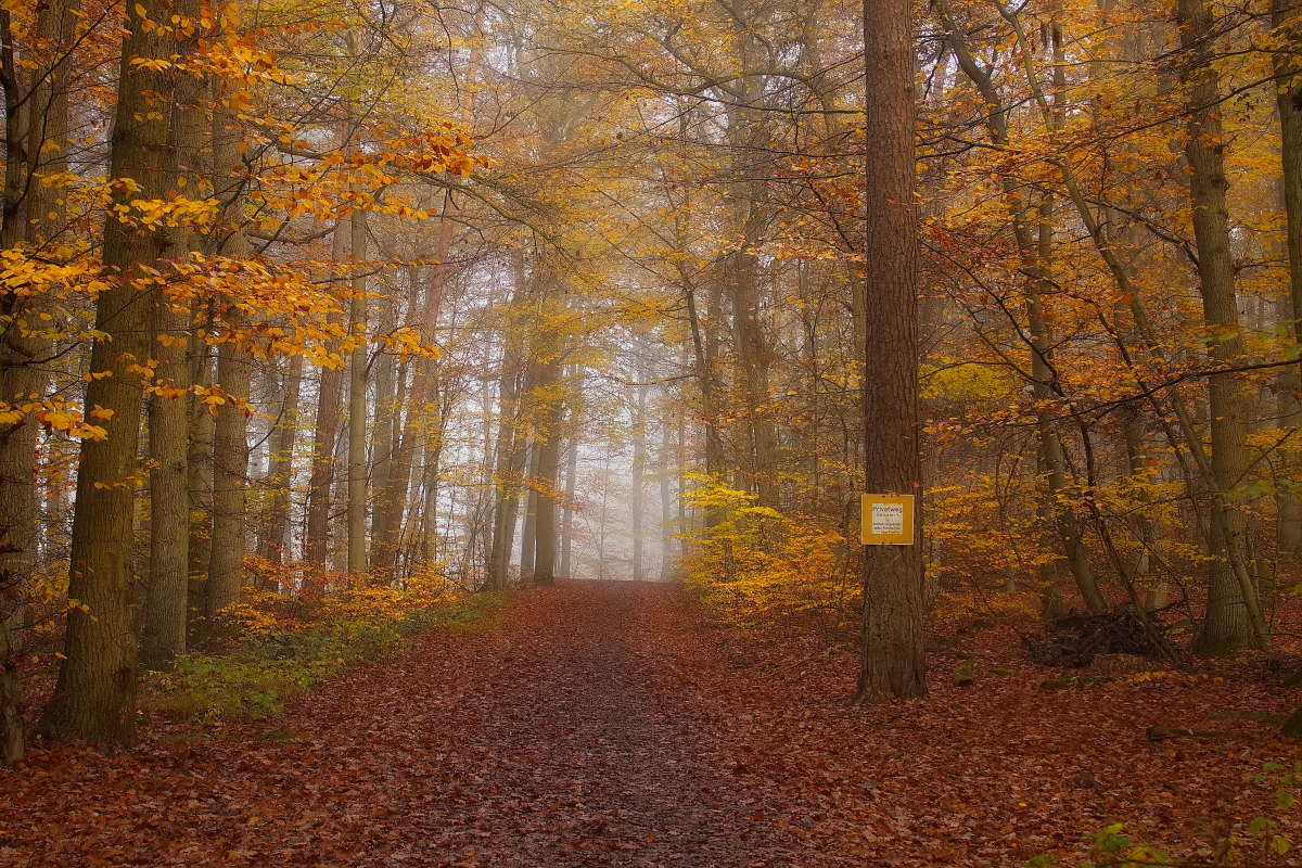 ����� ����� ���� �������� �� PhotoGeek.ru #������ ��� �������