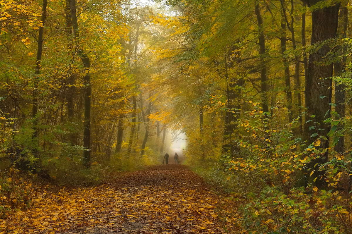 ������ ����� ����� ���� �������� �� PhotoGeek.ru #������ ��� �������