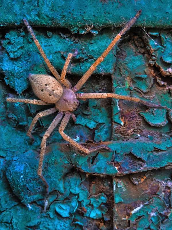 ����������� ����� ����� ������� �������� �� PhotoGeek.ru #����� #���-����������� #���������