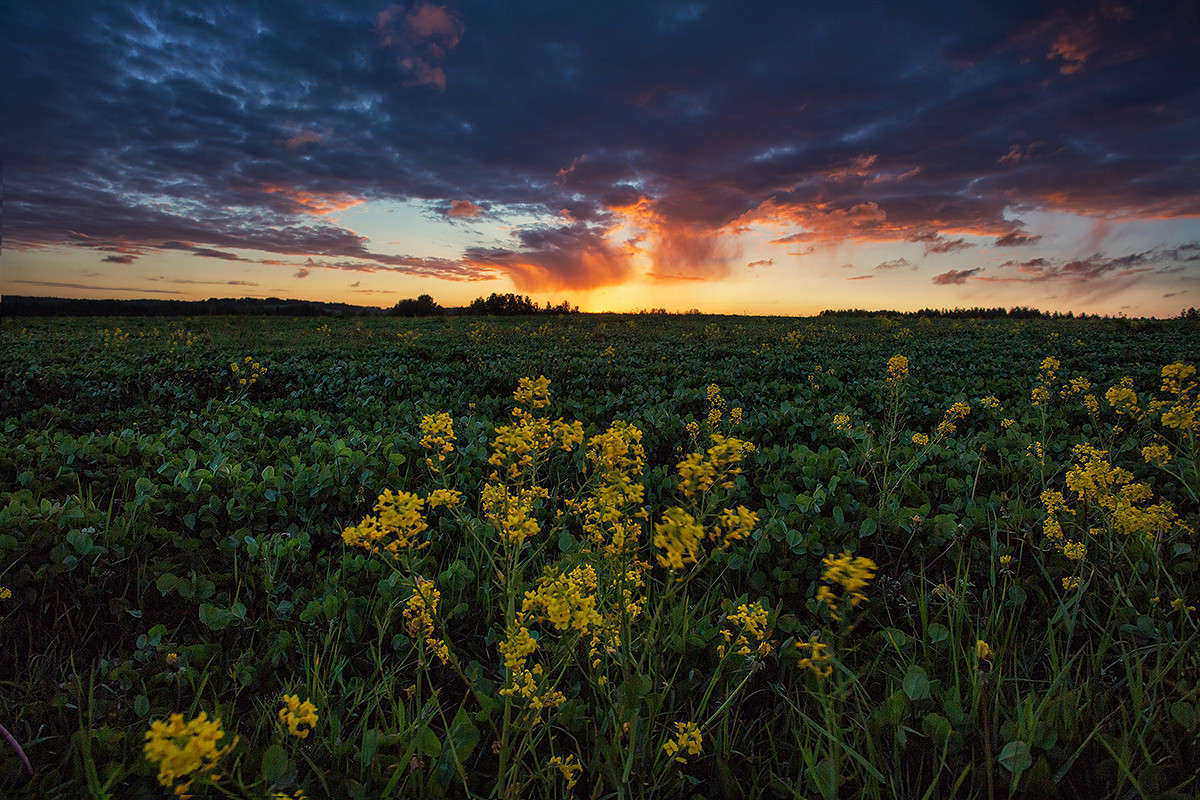 ����� ������� ������� � �����.. ����� ���� ����� �� PhotoGeek.ru #������ ��� �������