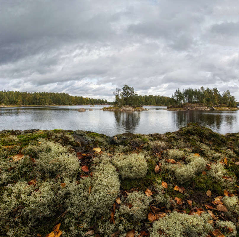 �������� ������� ����� ���� ����� �� PhotoGeek.ru #������ ��� �������