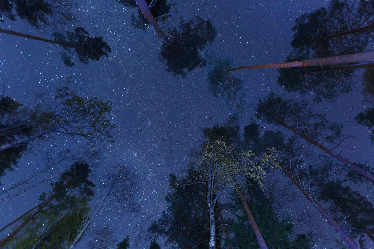 ����������..��������..������� �����.. ����� ���� ����� �� PhotoGeek.ru #������ ��� �������