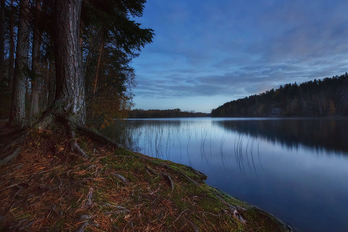 ��� ��������� ������.. ����� ���� ����� �� PhotoGeek.ru #������ ��� �������