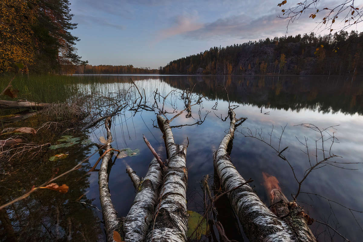 Morning ����� ���� ����� �� PhotoGeek.ru #������ ��� �������