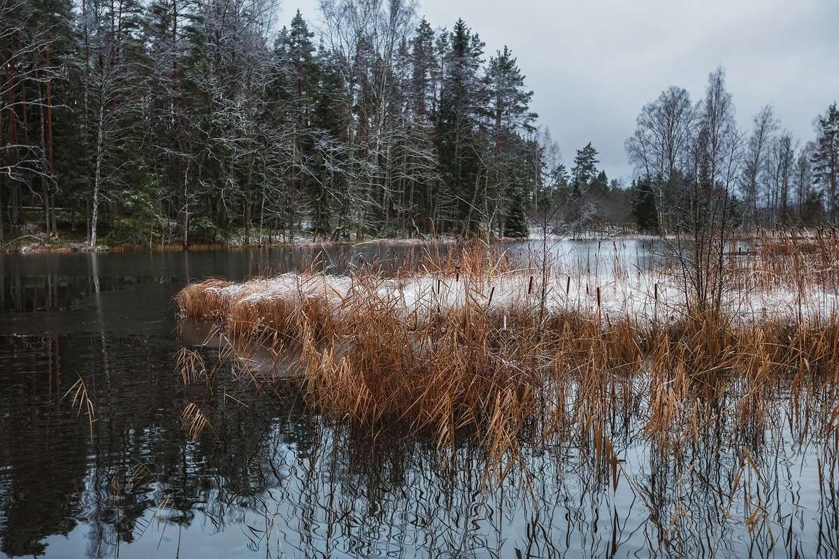 ��� �������� ����.. ����� ���� ����� �� PhotoGeek.ru #������ ��� �������