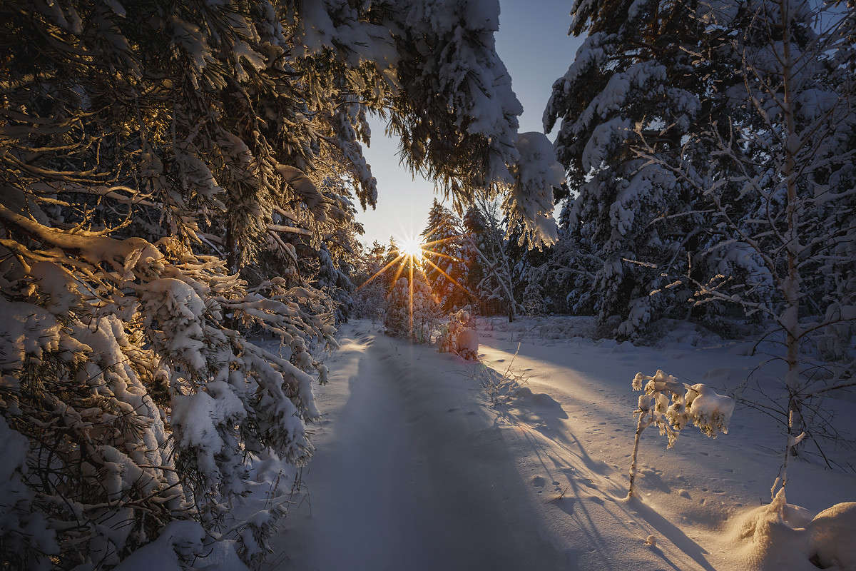 ��� ��������� ������.. ����� ���� ����� �� PhotoGeek.ru #������ ��� �������