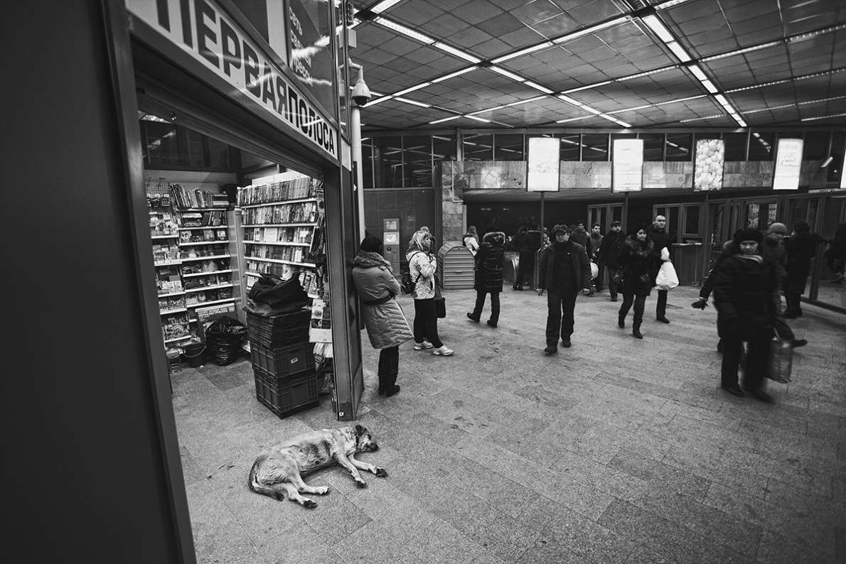 �� ����� "subway" ����� ���� ����� �� PhotoGeek.ru #�������� ���������� #��������������� #�����-���� #�����-�����