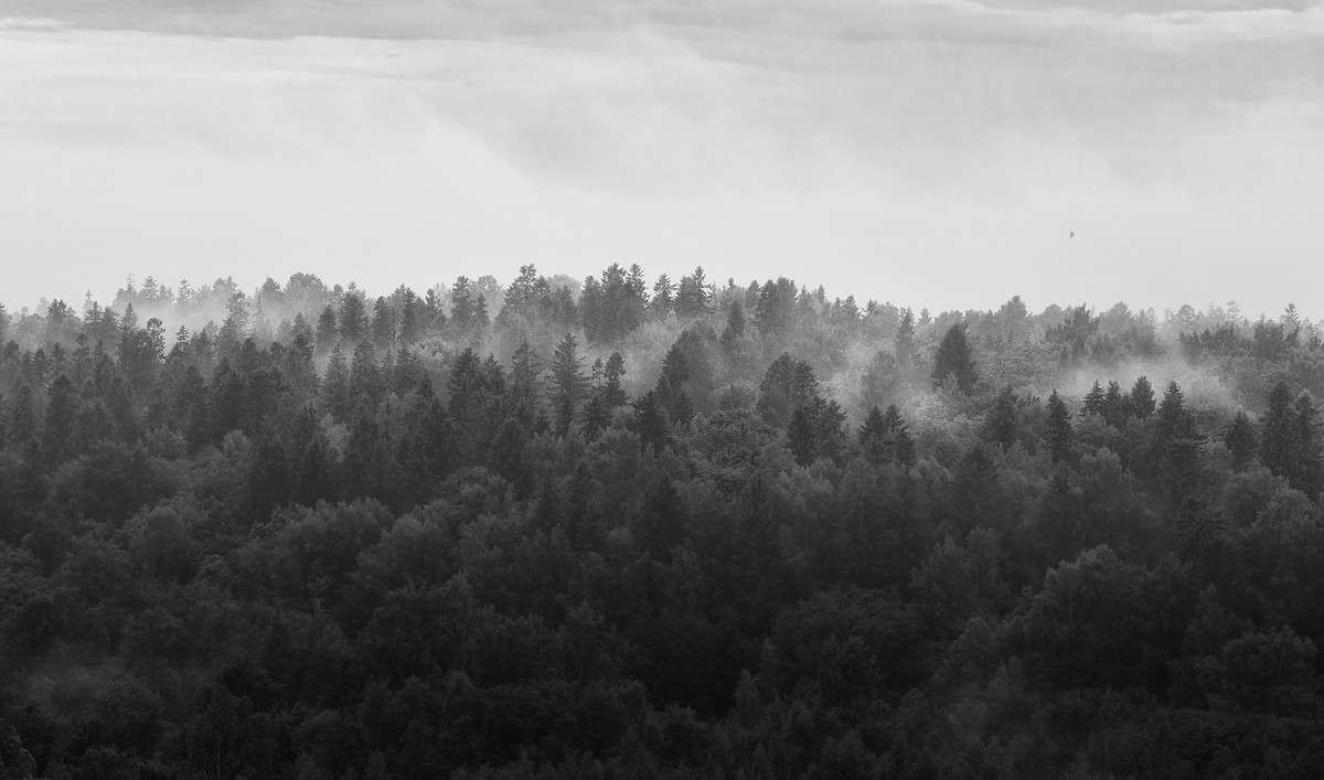 ����� ���� � ���� ������ �� ���� ����� ���� ����� �� PhotoGeek.ru #������ ��� ������� #�����-�����