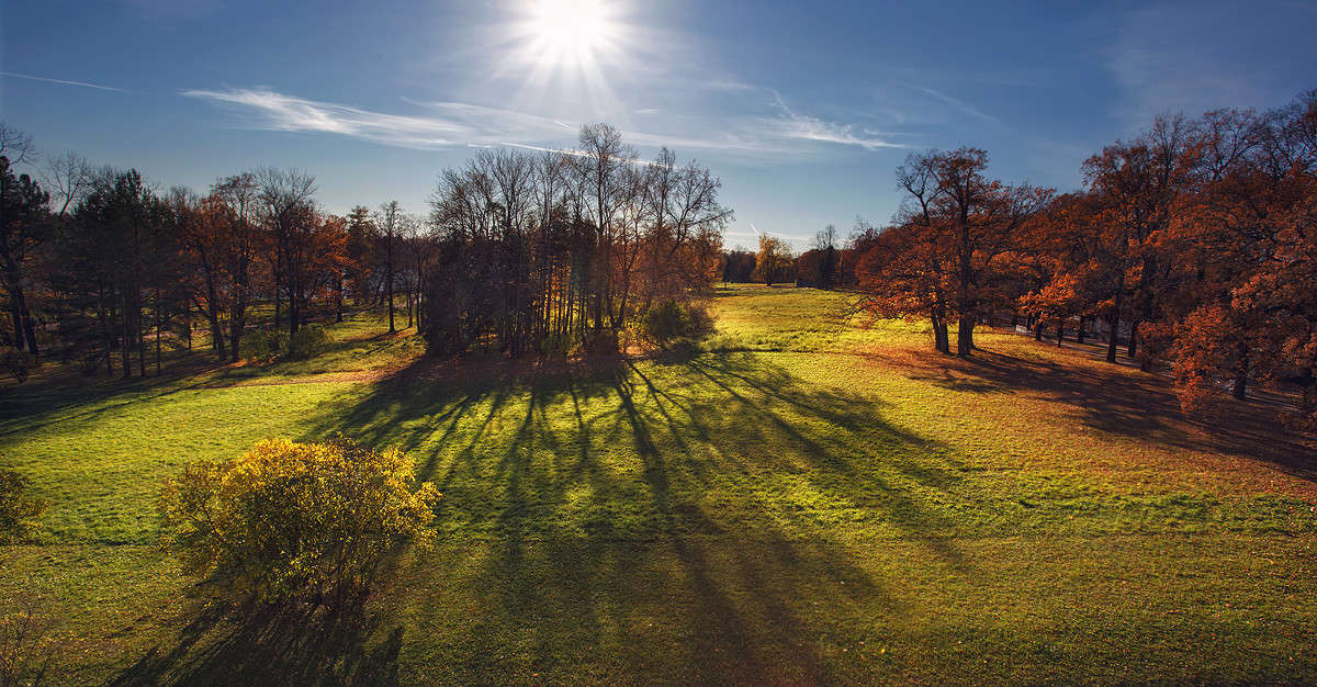 Autumn in pushkin ����� ���� ����� �� PhotoGeek.ru #������ ��� �������