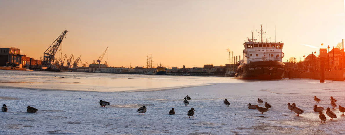 ... ����� ���� ����� �� PhotoGeek.ru #����� #������ ���� #������ ������ #��������� ������