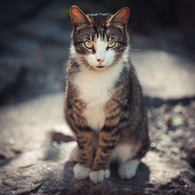 Ҹ���� ����� ���� ����� �� PhotoGeek.ru #�������� ��� #�������� ���������� #������� #�����-����