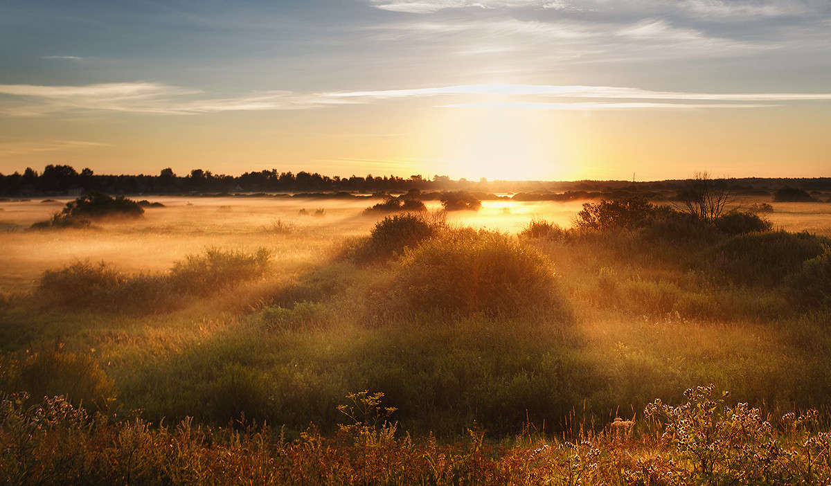 Good morning ����� ���� ����� �� PhotoGeek.ru #������ ��� �������