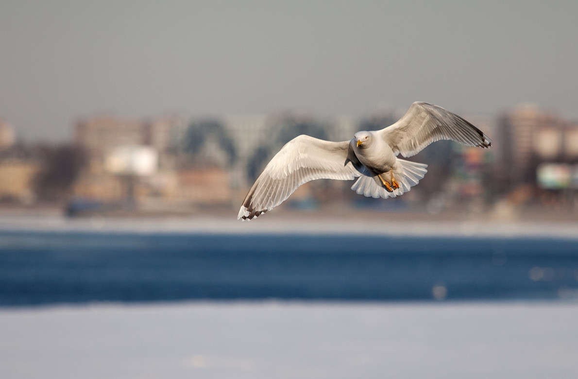 ������,� �������.. ����� ���� ����� �� PhotoGeek.ru #�������� ��� #����� ��� ��� ���������