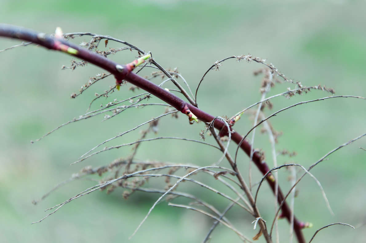 ... ����� Enzun  �� PhotoGeek.ru #����� #����� ��������������