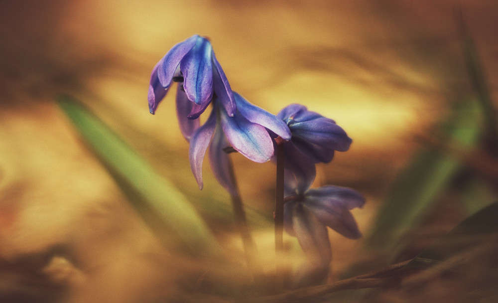 ... ����� ������ ���������� �� PhotoGeek.ru #������ ��� �������