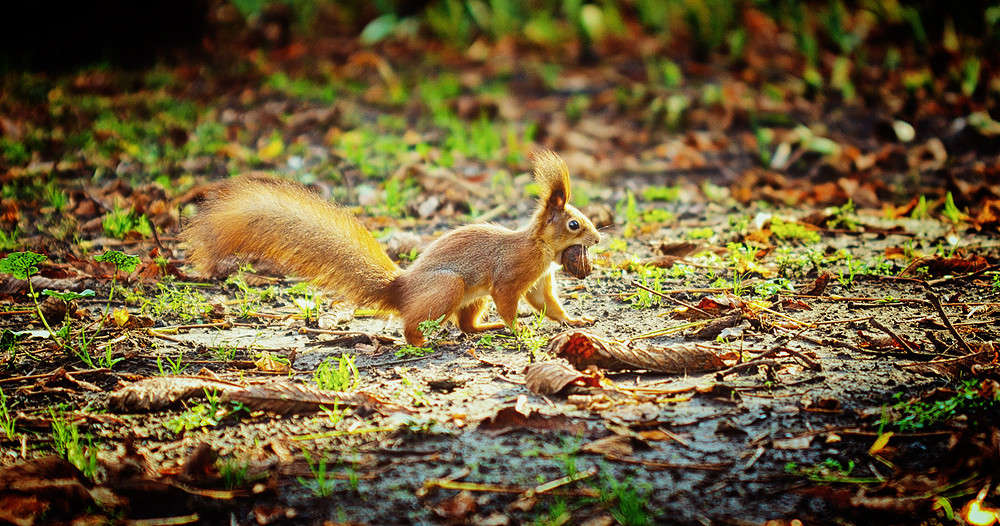 ... ����� ������ ���������� �� PhotoGeek.ru #�������� ��� #����� ��� ��� ���������