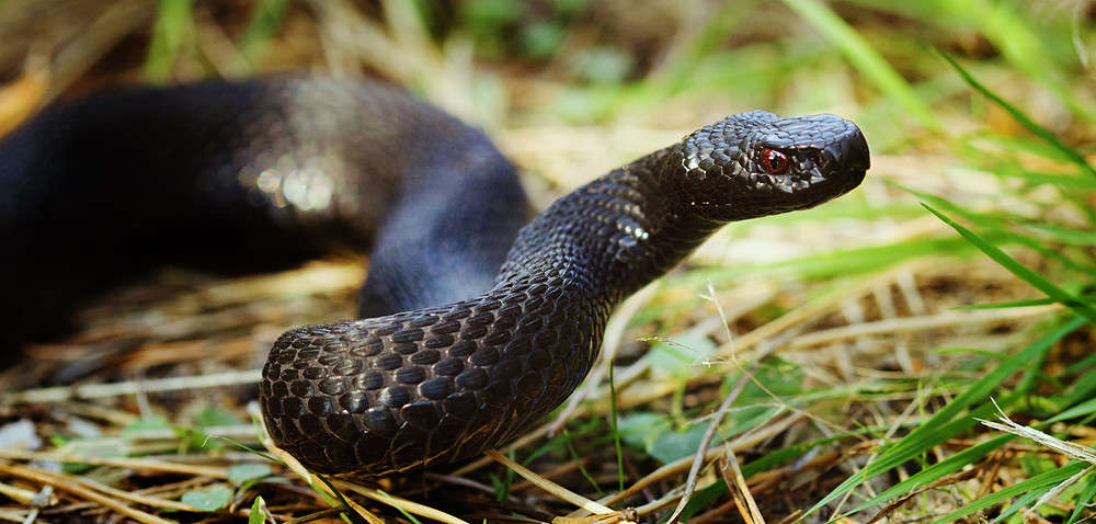 ... ����� ������ ���������� �� PhotoGeek.ru #������ ��� �������