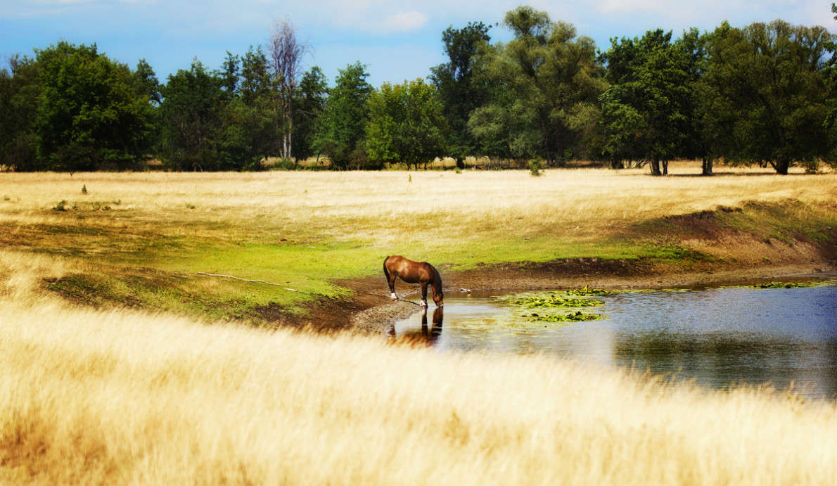 ... ����� ������ ���������� �� PhotoGeek.ru #�������� ��� #�������� ���