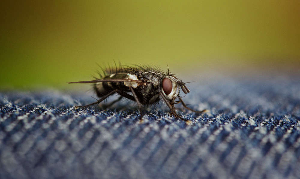 ... ����� ������ ���������� �� PhotoGeek.ru #�������� ��� #����� ��� ��� ���������