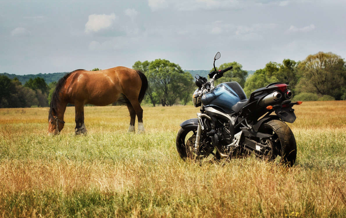 ... ����� ������ ���������� �� PhotoGeek.ru #�������� ���������� #�������������