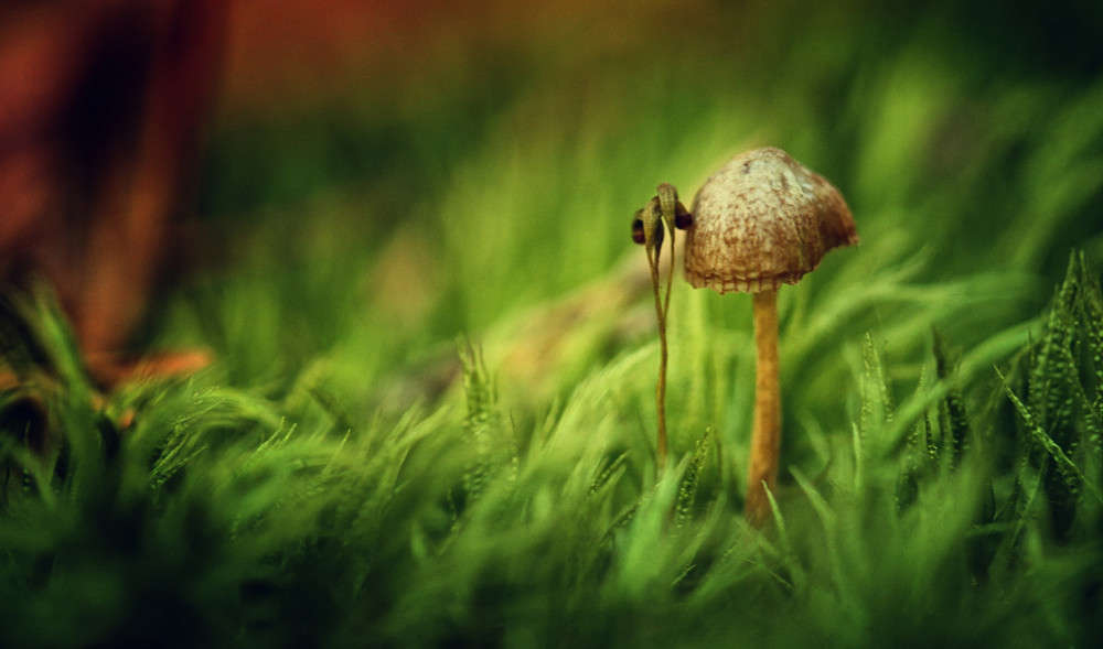 ... ����� ������ ���������� �� PhotoGeek.ru #������ ��� �������