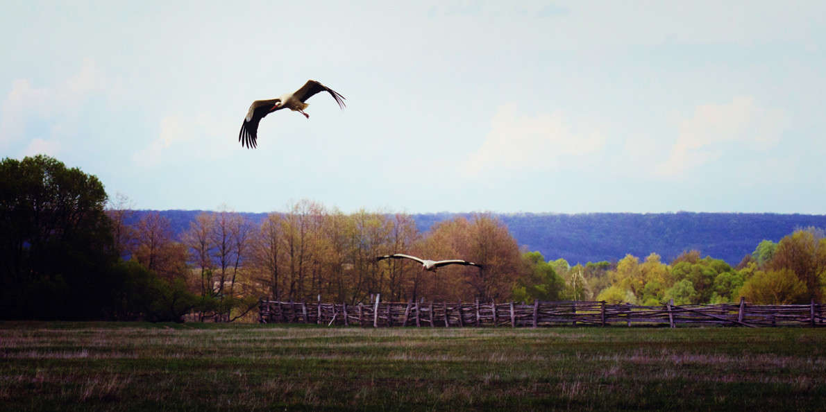 ... ����� ������ ���������� �� PhotoGeek.ru #�������� ���