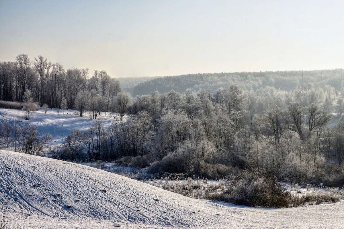 Зимняя зарисовка автор ElenaBuligina  на PhotoGeek.ru #Пейзаж или природа