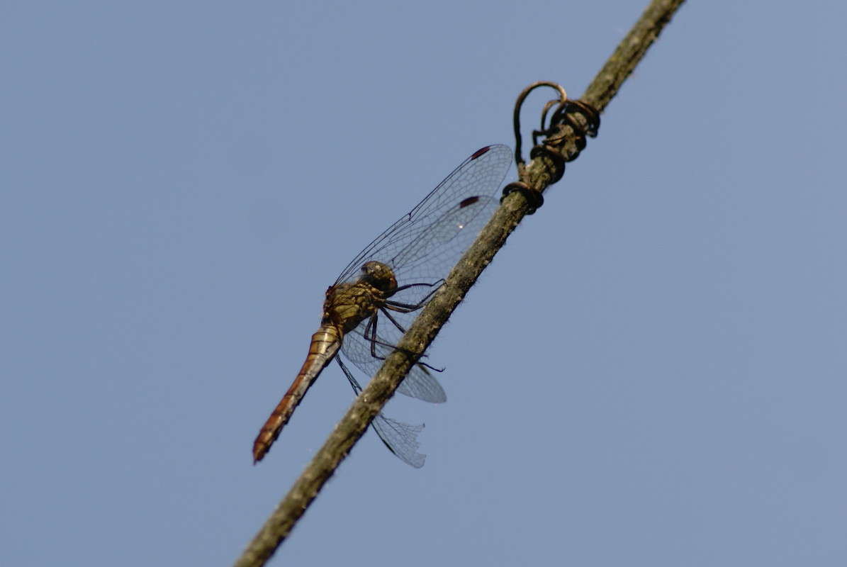 ... ����� ElenaBuligina  �� PhotoGeek.ru #����� #�������� ���