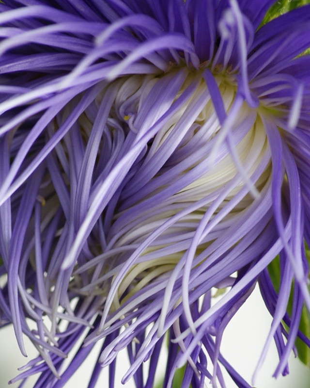 ... ����� ElenaBuligina  �� PhotoGeek.ru #������ ��� �������