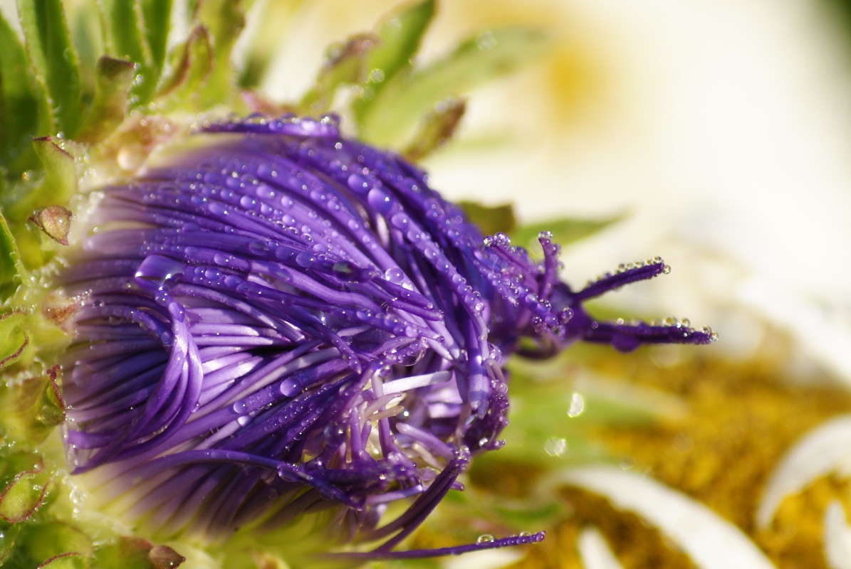 ... ����� ElenaBuligina  �� PhotoGeek.ru #������ ��� �������