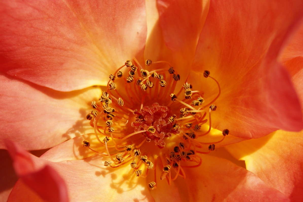 ... ����� ElenaBuligina  �� PhotoGeek.ru #�����