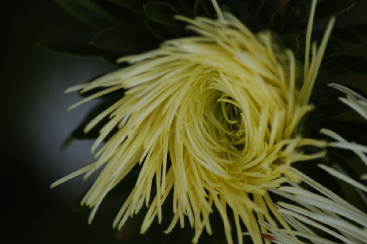 ... ����� ElenaBuligina  �� PhotoGeek.ru #�����