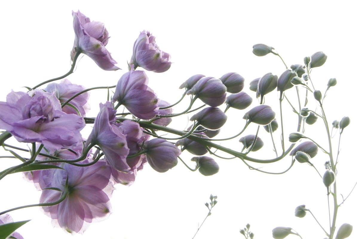 ... ����� ElenaBuligina  �� PhotoGeek.ru #������ ��� �������