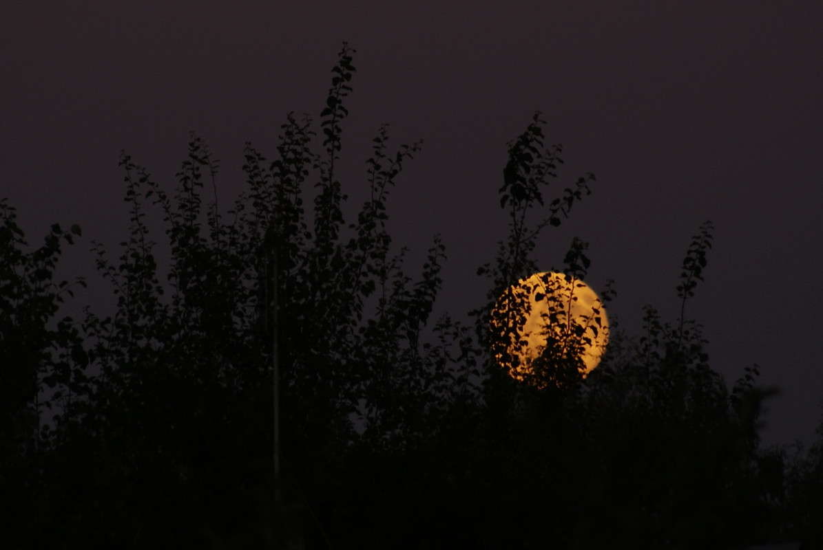 ... ����� ElenaBuligina  �� PhotoGeek.ru #������ ��� �������