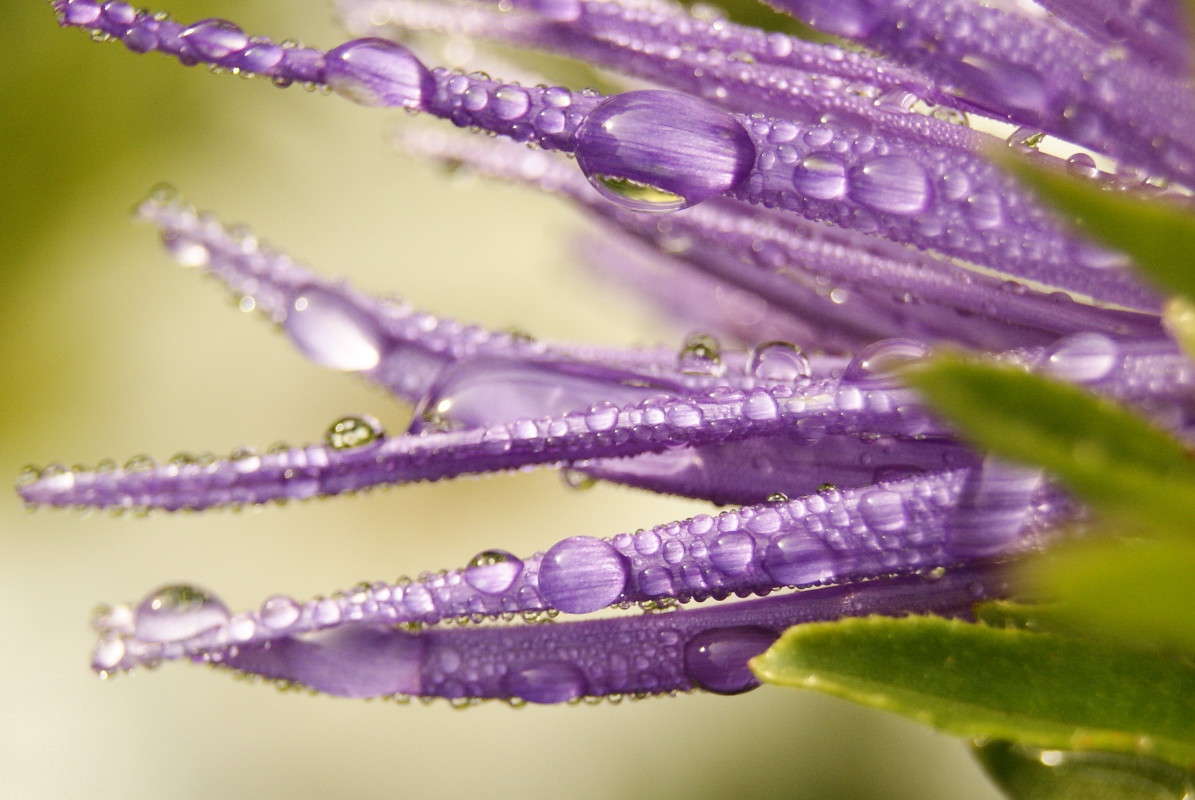 ... ����� ElenaBuligina  �� PhotoGeek.ru #�����