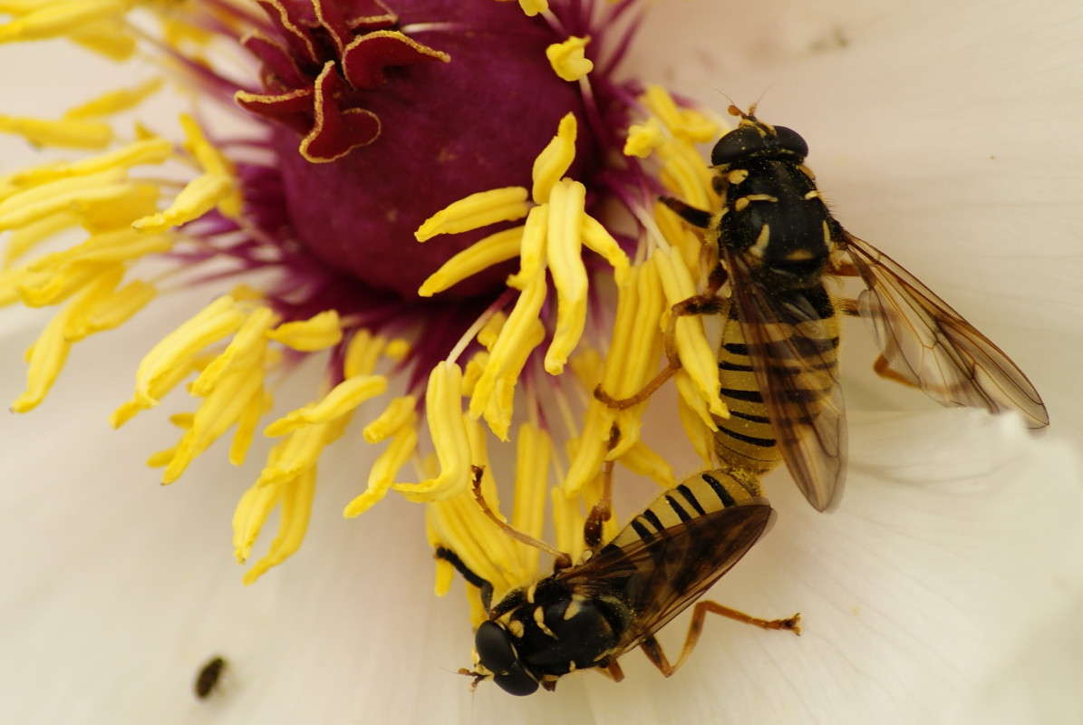 ����� ����� ElenaBuligina  �� PhotoGeek.ru #�����