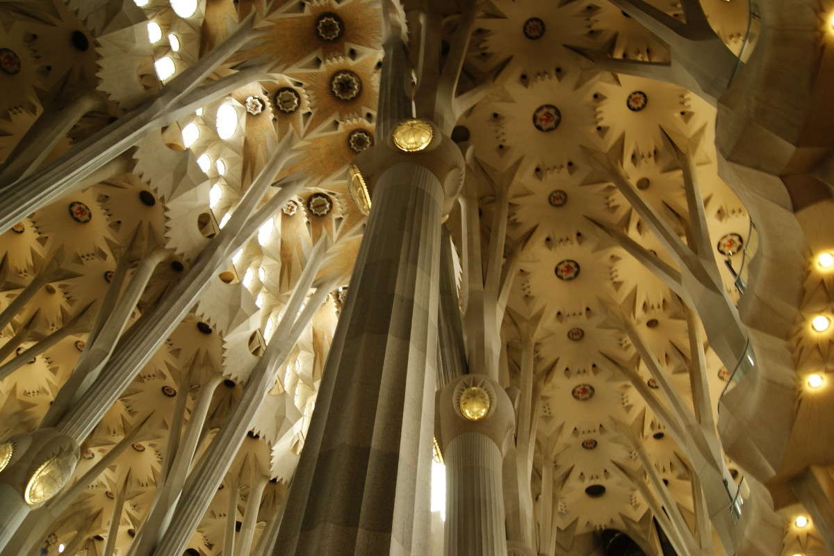 ... ����� ElenaBuligina  �� PhotoGeek.ru #�����������