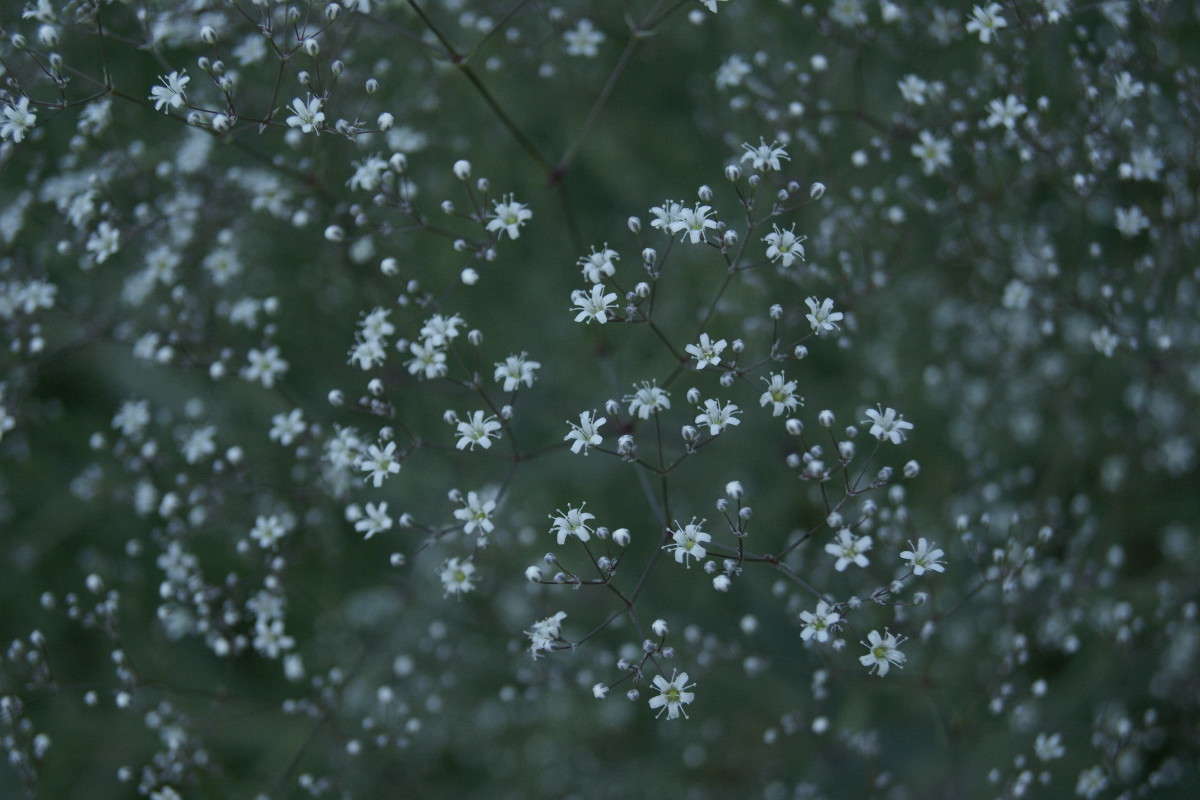 ... ����� ElenaBuligina  �� PhotoGeek.ru #������ ��� �������