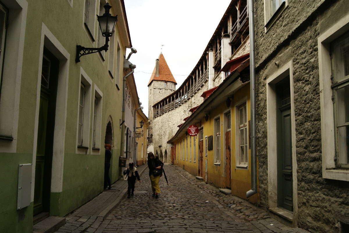 � ���� ������ ����. ����� ElenaBuligina  �� PhotoGeek.ru #�����