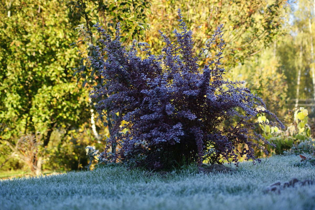 ������� ���� ����� ElenaBuligina  �� PhotoGeek.ru #������ ��� �������