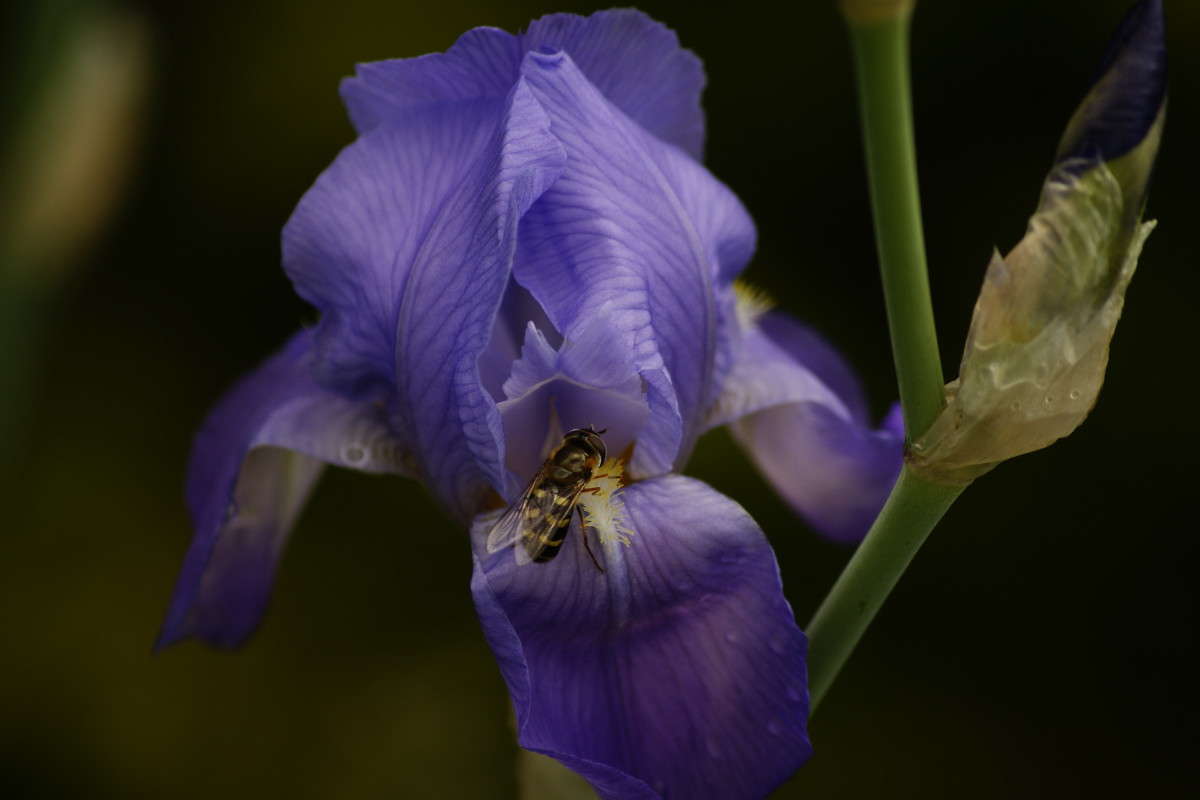 ... ����� ElenaBuligina  �� PhotoGeek.ru #������ ��� �������