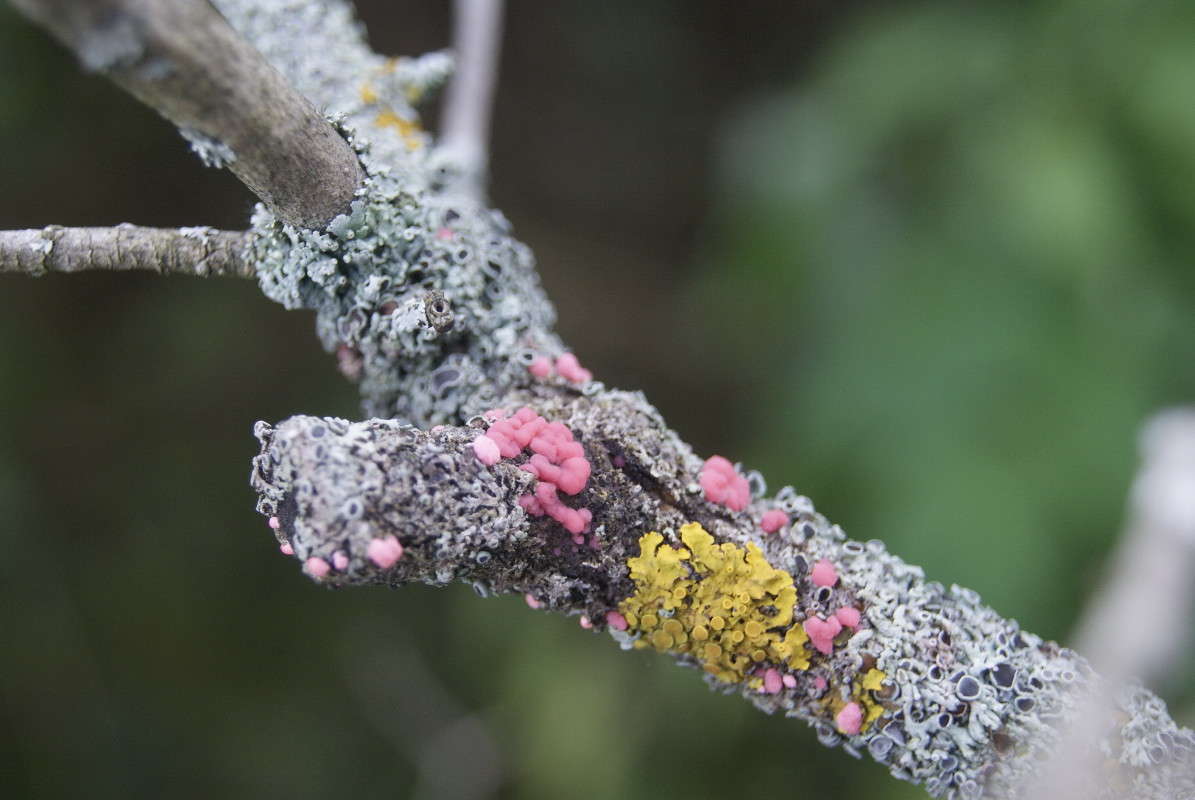 � ��� ���� ����� ? ����� ElenaBuligina  �� PhotoGeek.ru #������ ��� �������