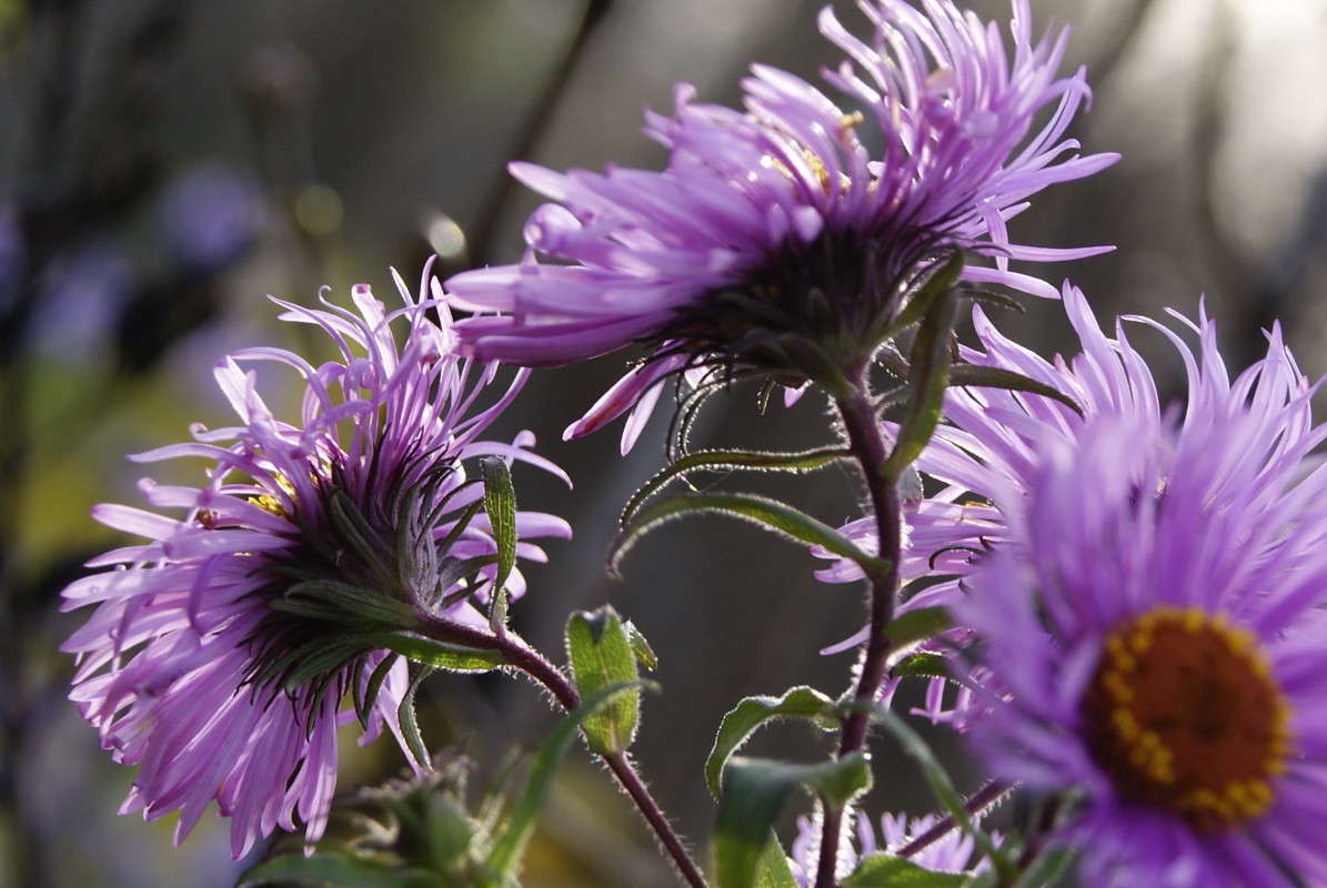 � ����� ����� ����� ElenaBuligina  �� PhotoGeek.ru #������ ��� �������