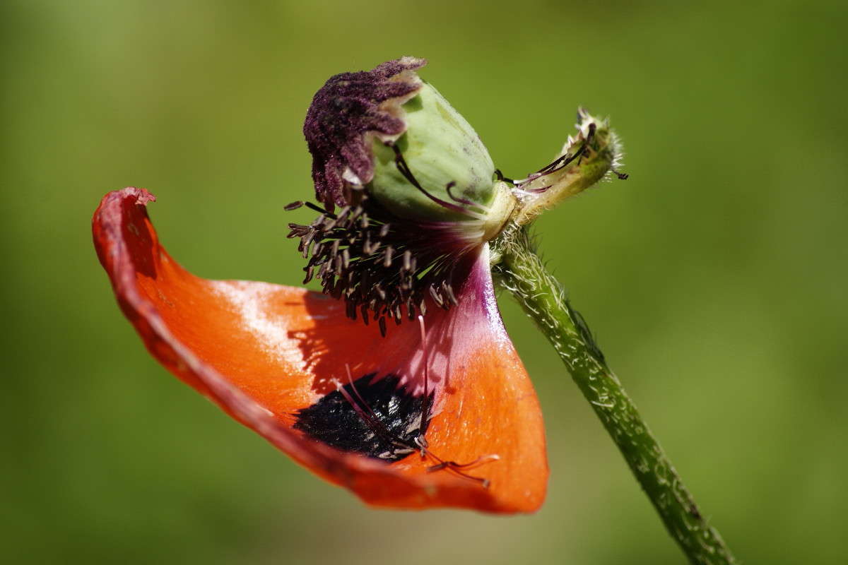 �������� � ���������� ����� ElenaBuligina  �� PhotoGeek.ru #�����